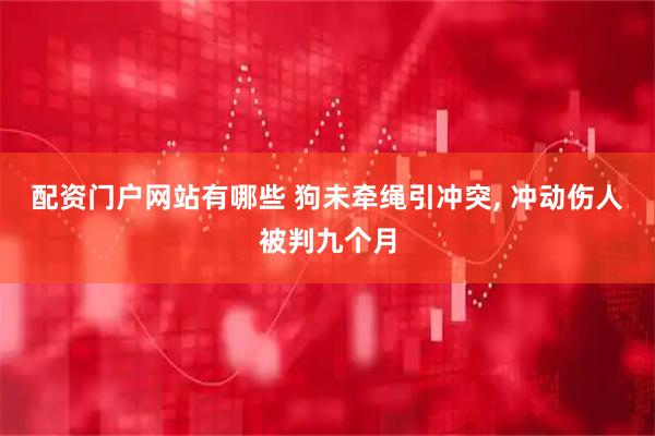 配资门户网站有哪些 狗未牵绳引冲突, 冲动伤人被判九个月
