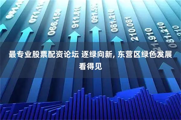 最专业股票配资论坛 逐绿向新, 东营区绿色发展看得见