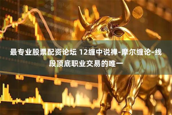 最专业股票配资论坛 12缠中说禅-摩尔缠论-线段顶底职业交易的唯一